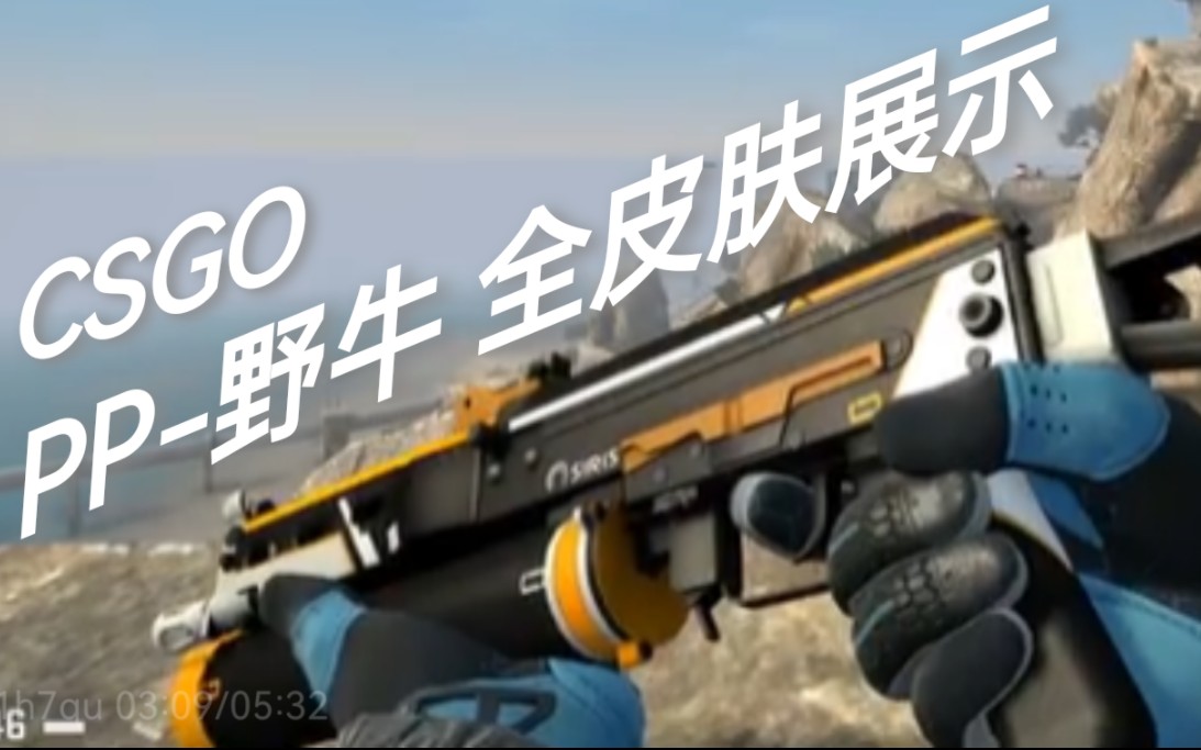 【CSGO】PP野牛全皮肤展示+射击换弹展示CSGO