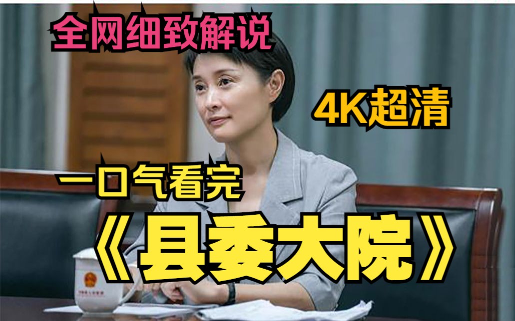 一口气看完4K超清现实题材剧《县委大院》完整版,老实人被领导刁难,但结局真解气!哔哩哔哩bilibili