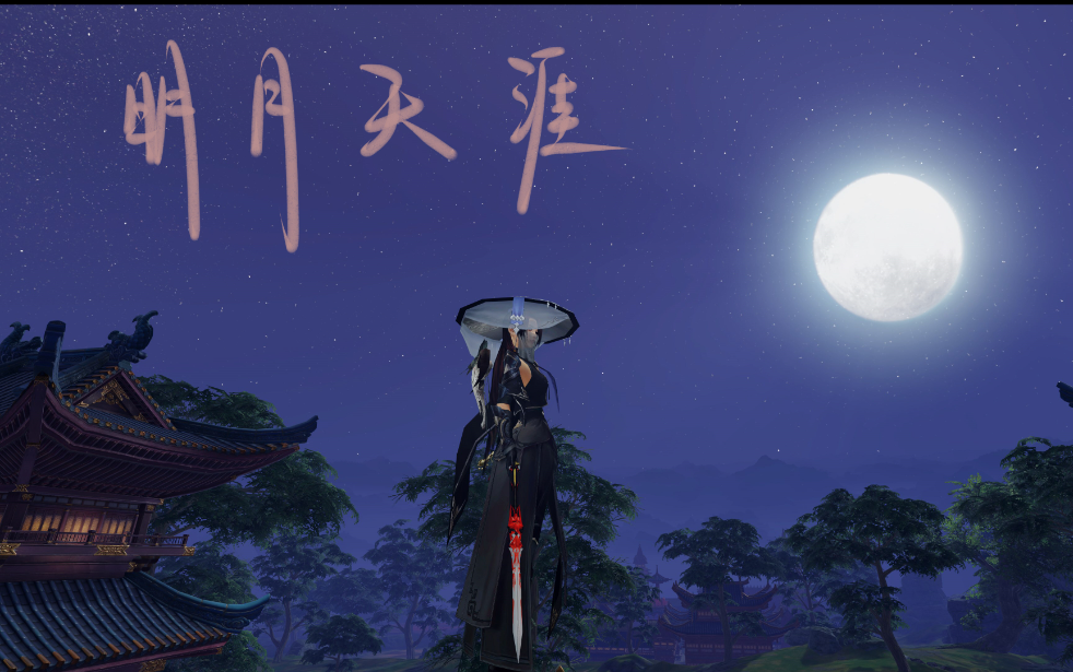 【林北渊】明月天涯【真三国无双PV付】