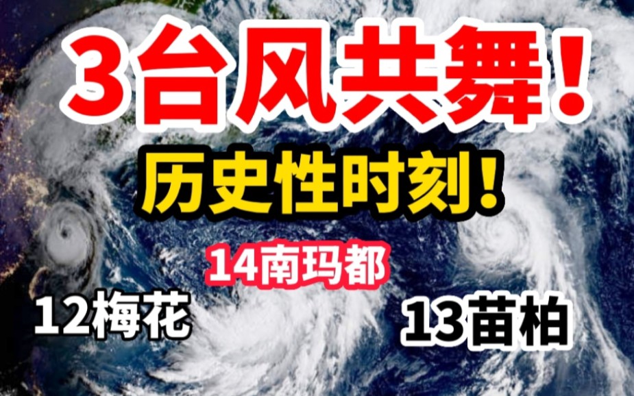 [图]三台风共舞！14号南玛都生成，13号苗柏孤独，12号梅花登陆我国！