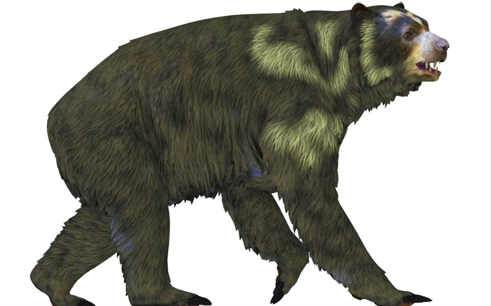 【超终焉】《方舟生存进化》第四十二期:恐熊