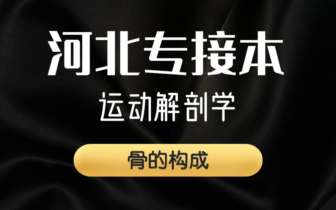 【河北专接本】体育专业课程 运动解剖学《骨的构成》哔哩哔哩bilibili