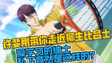 新网王立海公式书STRENGTH·仁王雅治篇_哔哩哔哩_bilibili