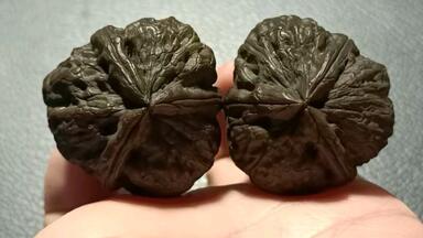 芸能人愛用 文玩核桃30mm，九层妖塔，超肥八腿全蹬，蟾型漂亮，有开背，骨质 その他