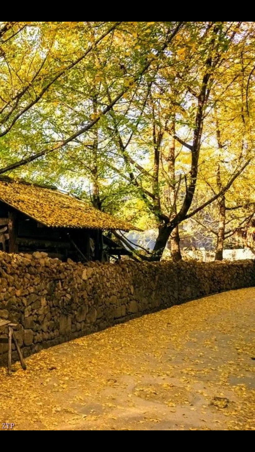 风景图片欣赏10431