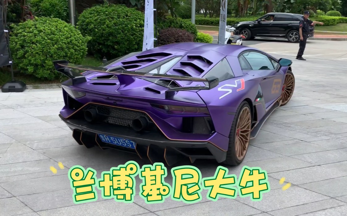 街拍两台兰博基尼大牛出街