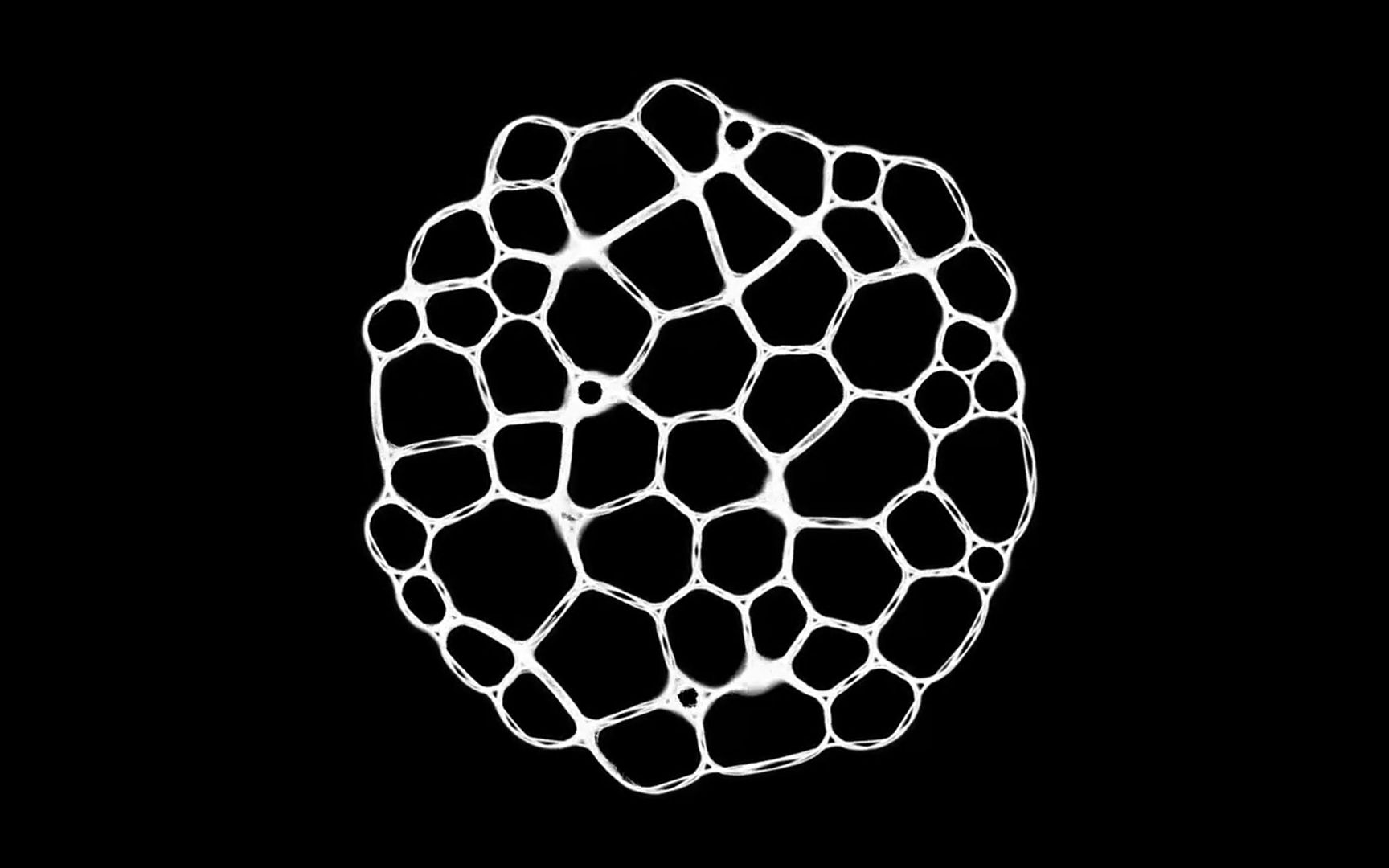 [图]【自译】蚁群算法和黏菌算法-群体智能可视化