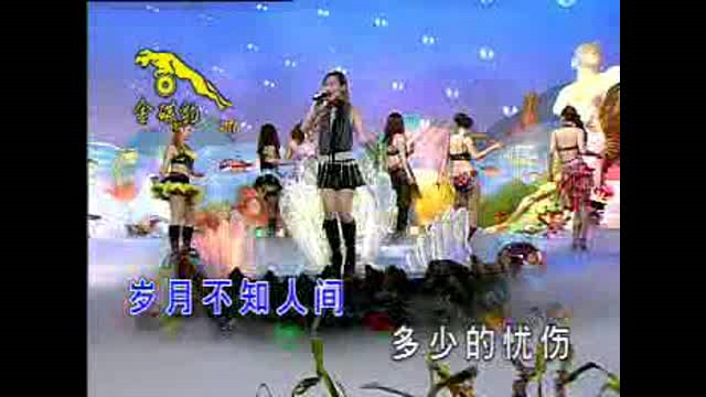 [图]12大美女国语VCD完整版