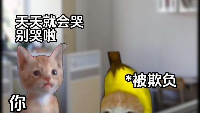 欺负香蕉猫被叫了家长#校园生活#新鲜哥#猫咪的迷惑行为#香蕉猫哔哩哔哩bilibili