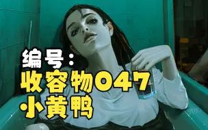 Télécharger la video: 编号：收容物047——小黄鸭