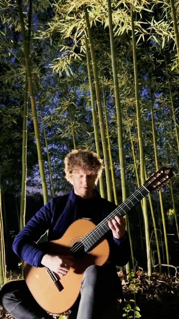 大师莫勒倾情演绎吉他名曲《梦中的森林》双击关注,更多优秀吉他作品