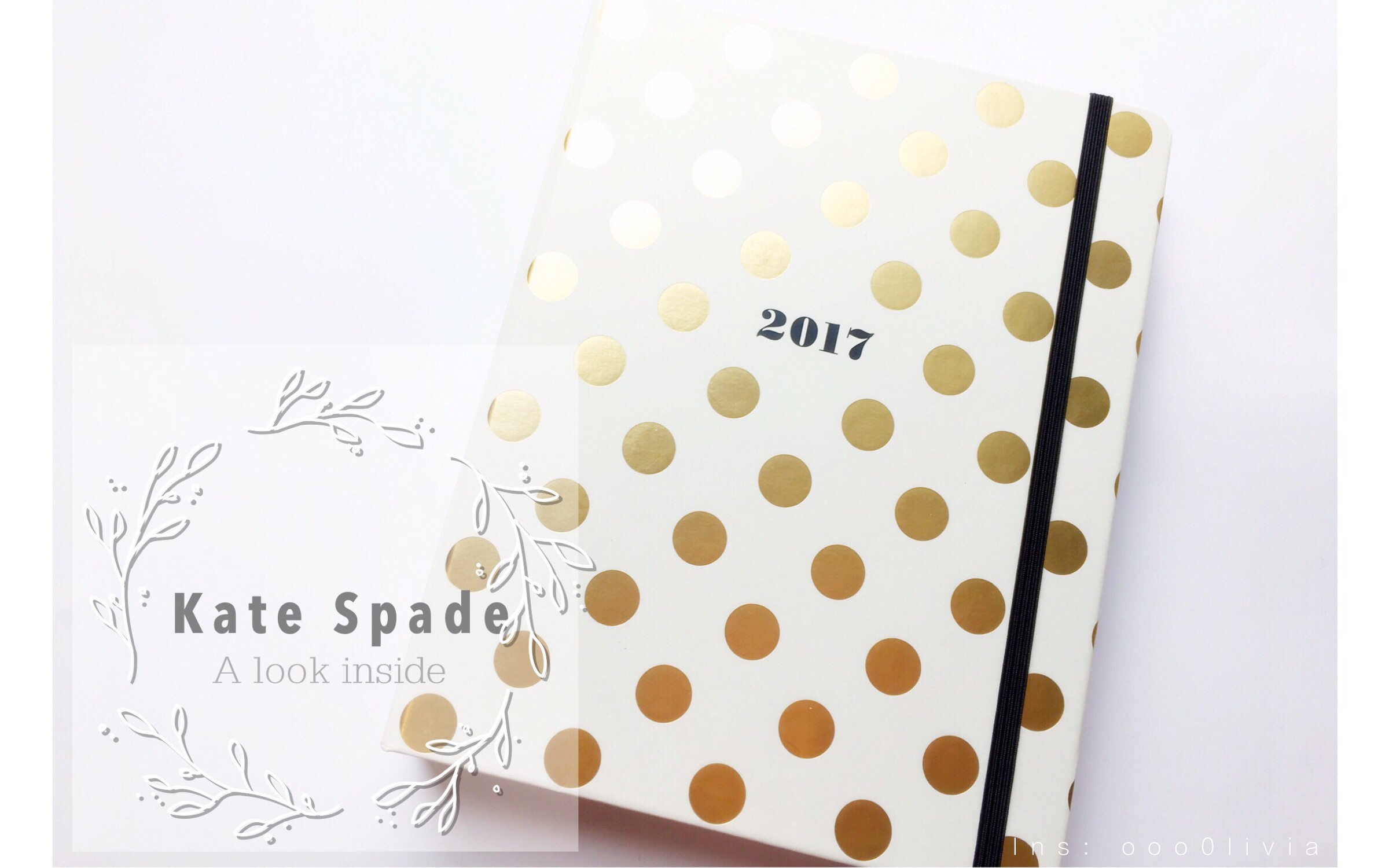 【干脆面君ⷦ–‡具分享】Kate Spade Planner哔哩哔哩bilibili