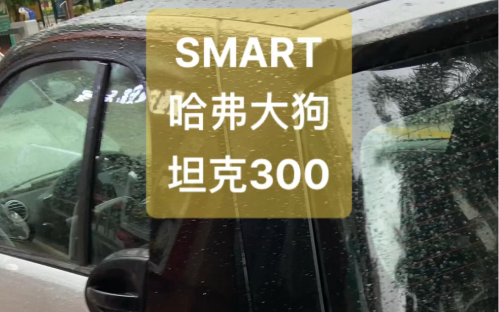 SMART 哈弗大狗油耗 以及为何不买坦克300哔哩哔哩bilibili