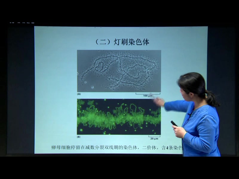 细胞生物学哔哩哔哩bilibili