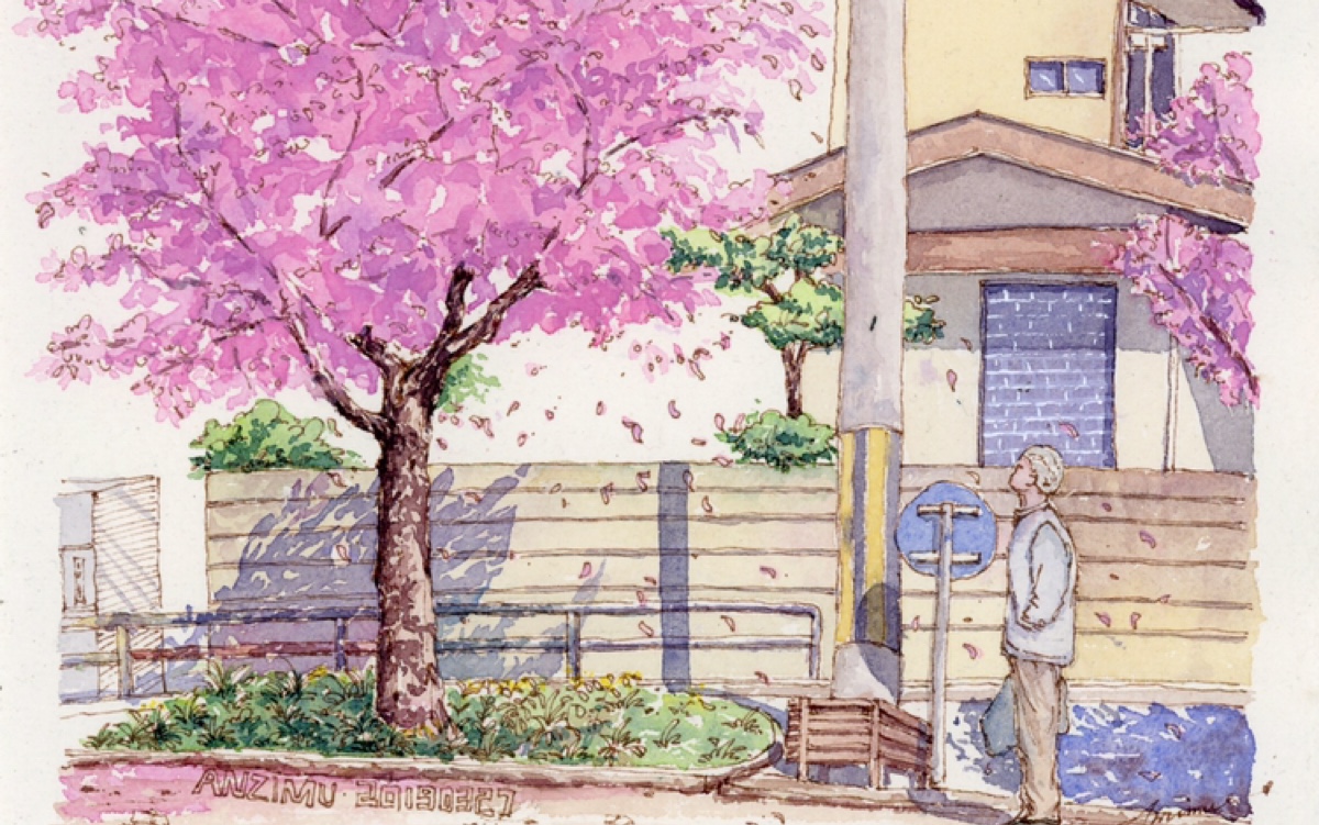 钢笔淡彩樱花树下