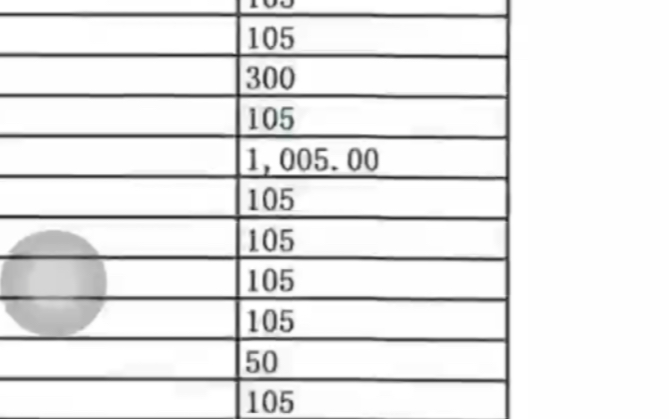 公示里9月8号的捐款名单,四百多页,看到里面包含这么多10.05、10.5、100.5、105、1005了么,还有183.6、10050.哔哩哔哩bilibili