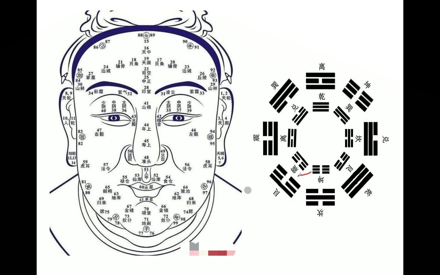 李光明面相2:地阁与先天坤宫的作用关系,不背口诀一样学好面相.