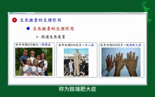 Download Video: #生长激素的生理作用#内分泌#人体生理学#医学知识科普#每天学习一点点