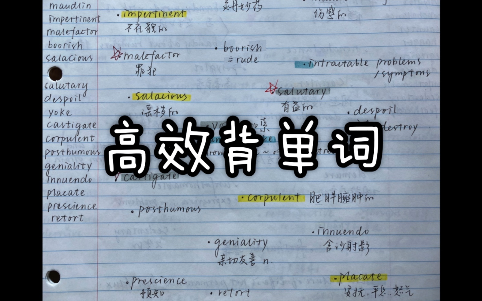 如何高效背单词?单词应该多久复习一次?哔哩哔哩bilibili