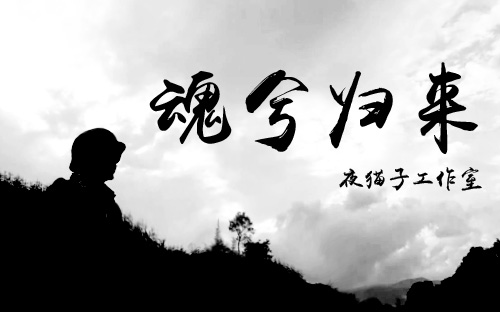 魂兮归来 B站