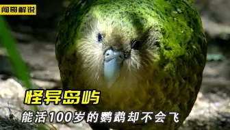 鸮鹦鹉能活100岁，有翅膀却不能飞，楔齿蜥懒癌患者一小时呼吸一次