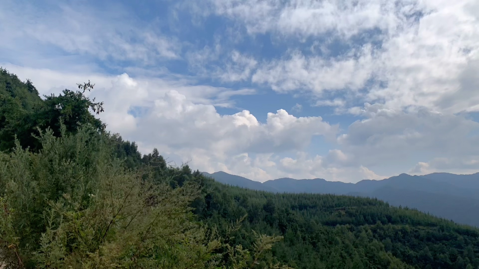 [图]大美天水，不止有荒山，还有原始森林，大草原