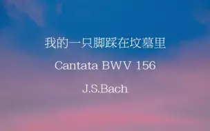 下载视频: 【Vlog】我的一只脚踩在坟墓里，Cantata BWV156. J.S.Bach