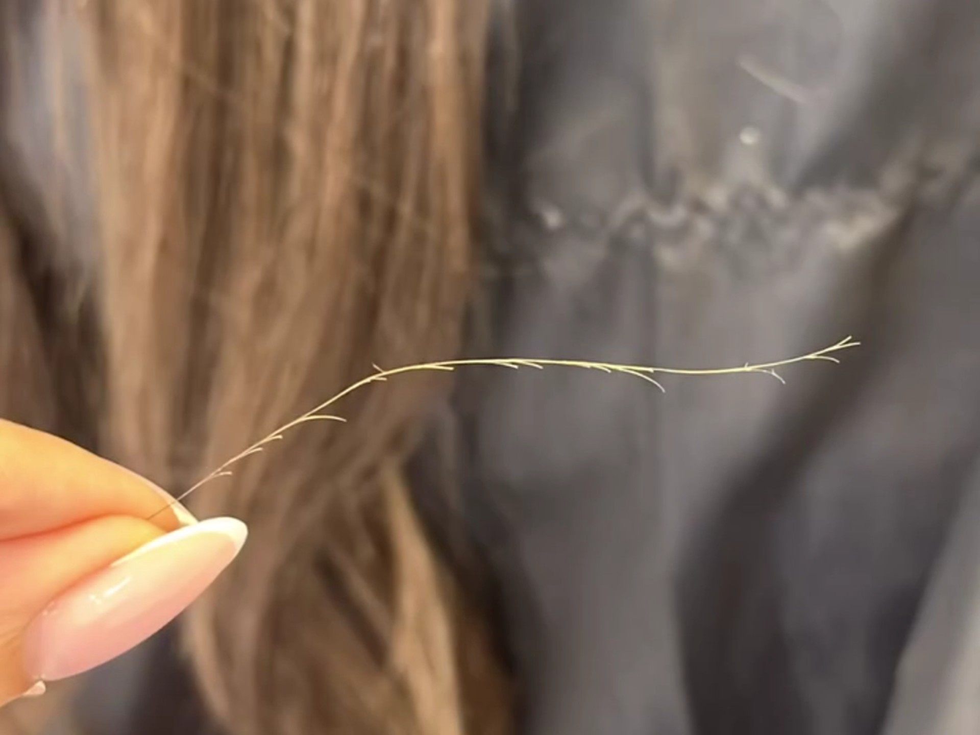 头发分叉怎么办!