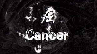 æ¯å©æ¶å½å®çº§æ­æ Stromae Quand C Est Cancer åå©åå© ã¤ã­å¹²æ¯ Bilibili
