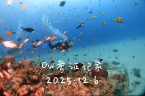 OW考证记录2025.12.6学生：Arthur & Sunny教练：火山By 初潜潜水