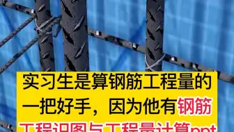 实习生是算工程量的一把好手，因为他有钢筋工程识图与工程量计算ppt