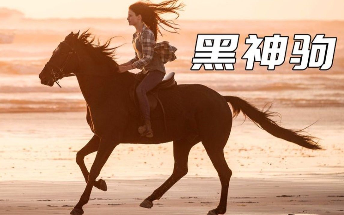 为伊消得马憔悴,皮包骨头终不悔,泪目新片《黑神驹》