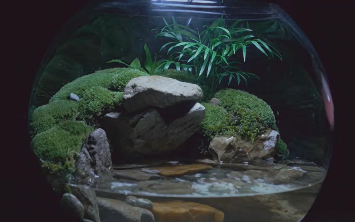 制作一个圆球形的溪流水陆缸