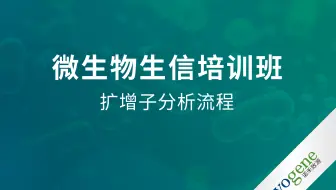 扩增子分析流程