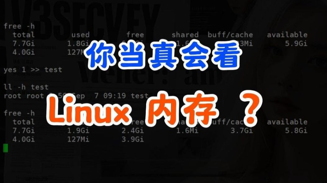 如何正确查看服务器剩余内存