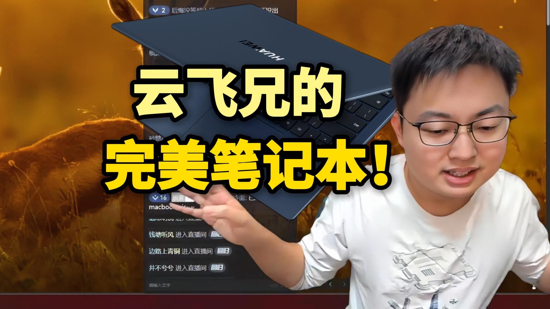 【极客湾】云飞心目中的完美windows笔记本：Matebook X Pro的模具，荣耀的电源管理，lunar lake的CPU