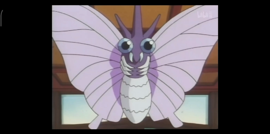 神奇宝贝-睡了波波