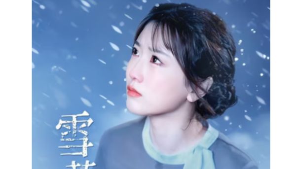 雪落下的声音~高清合集 大结局 免费领