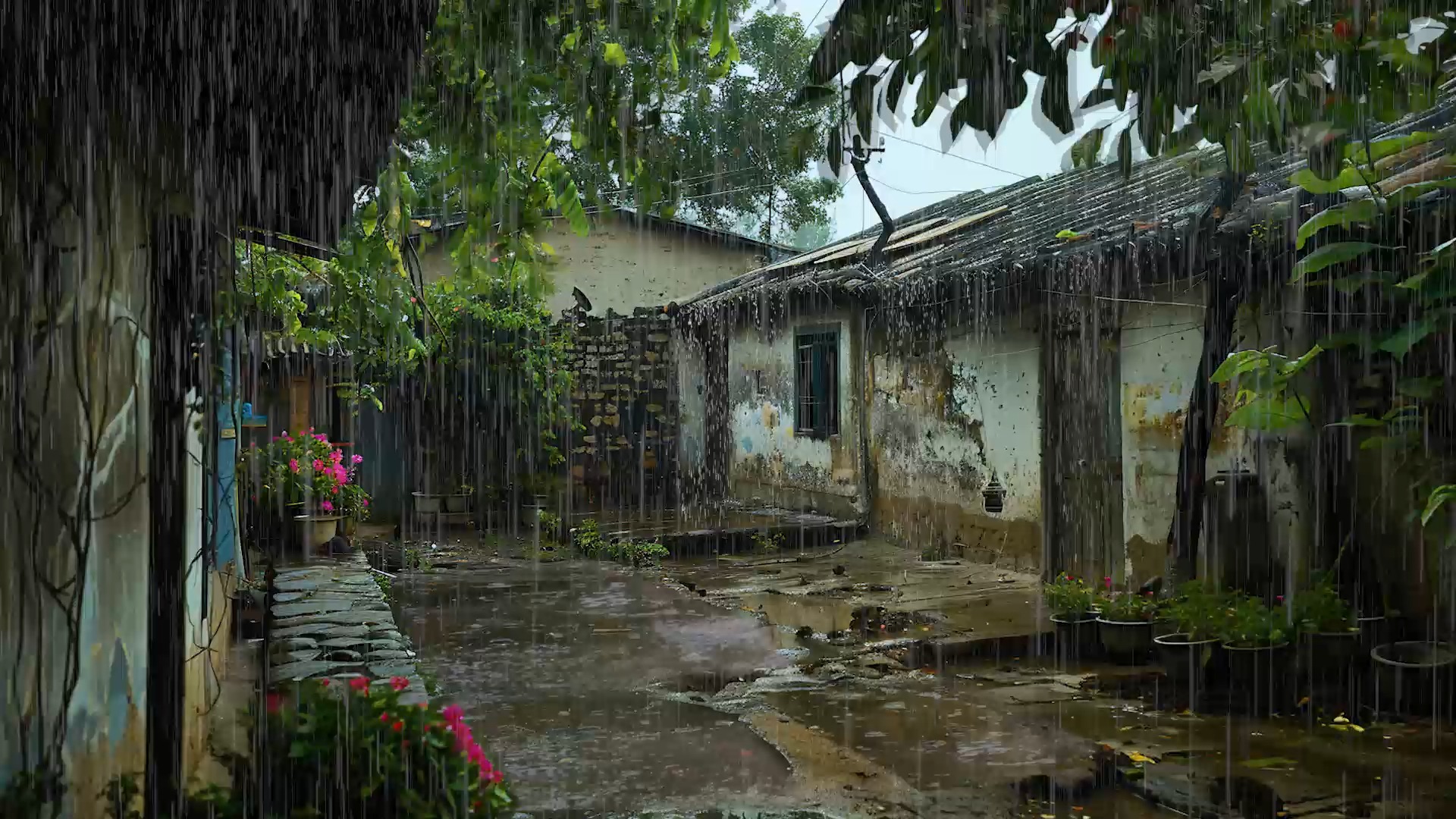 [图]农村老院子，寂静的下雨天，舒缓的雨声，儿时记忆中的老房子