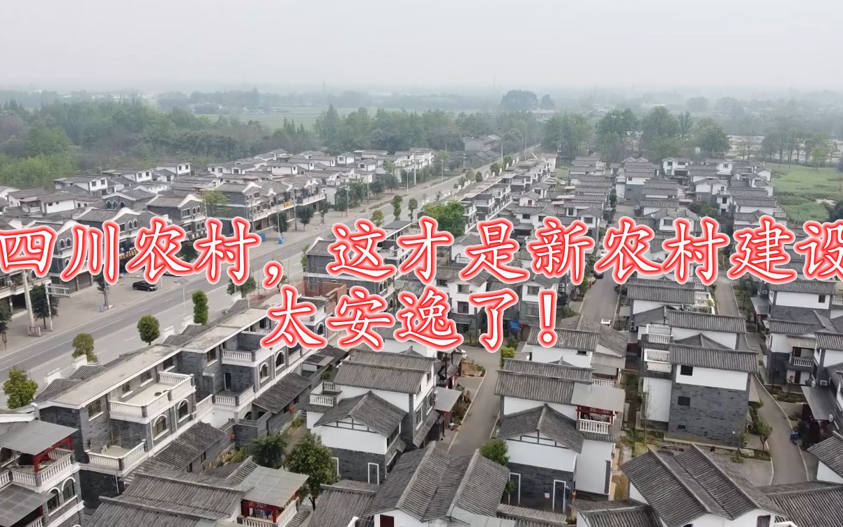 四川新农村建设,一个村都住别墅,看着真让人羡慕!哔哩哔哩bilibili