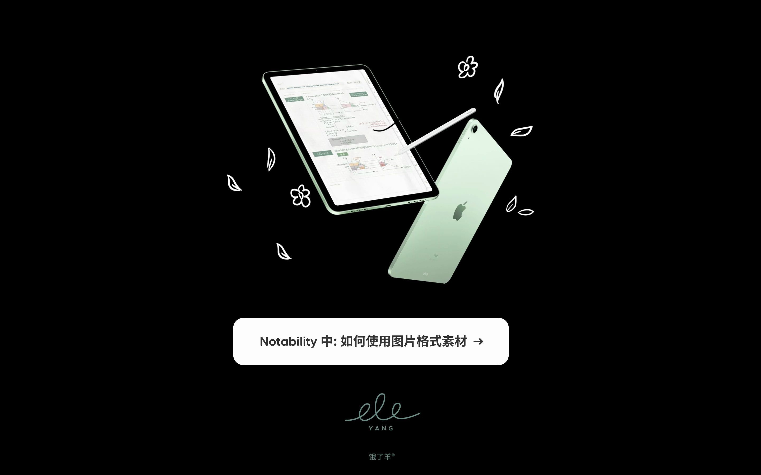 iPad笔记教学 | Notability图片素材使用哔哩哔哩bilibili