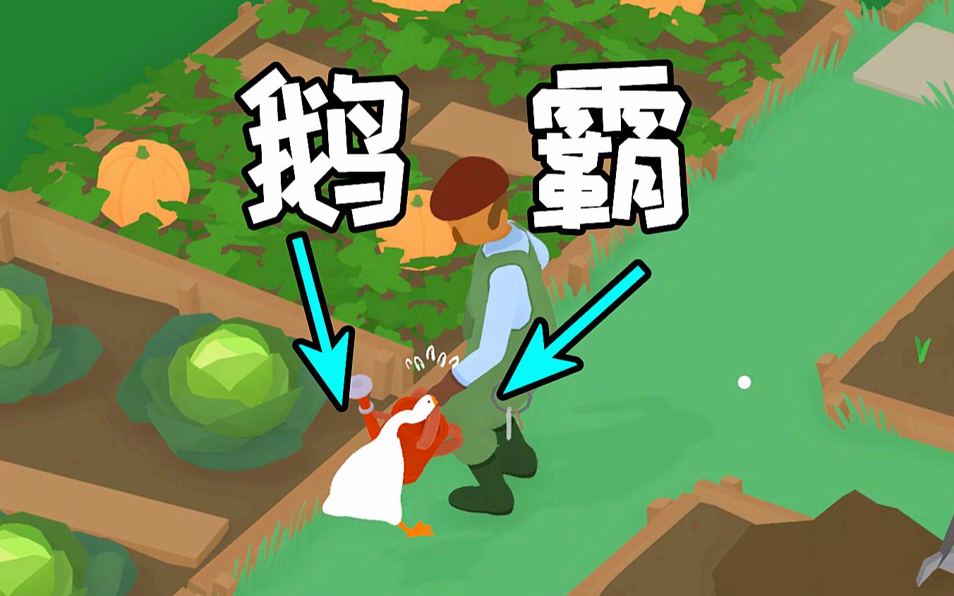 鹅霸出场,园丁都要气死了!_哔哩哔哩_bilibili