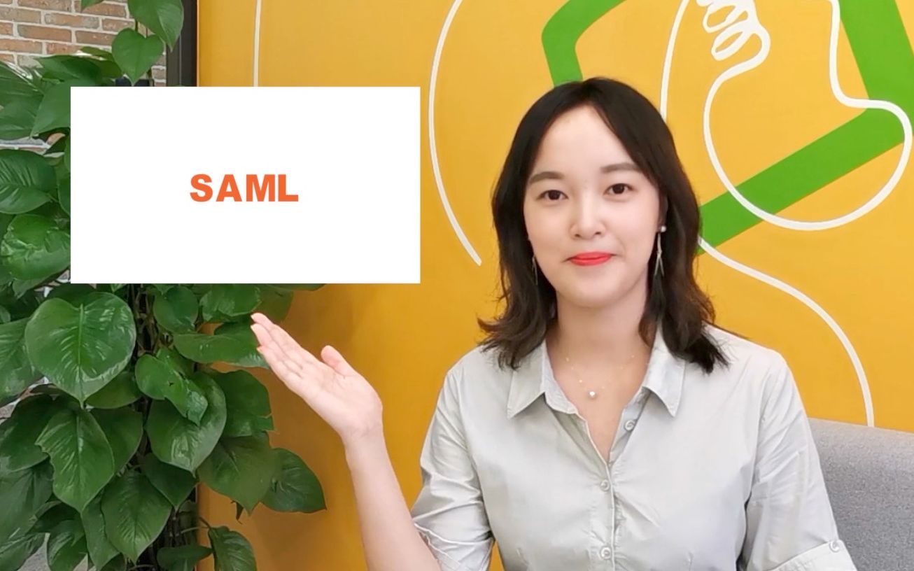 SAML On Citrix ADC EP1  SAML Basics哔哩哔哩bilibili