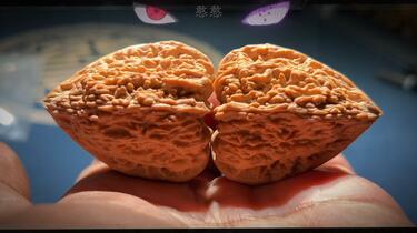 38天花板塔尖】尺37.5×36高度47，极致大三尖蚂蚁纹大凹底，几千