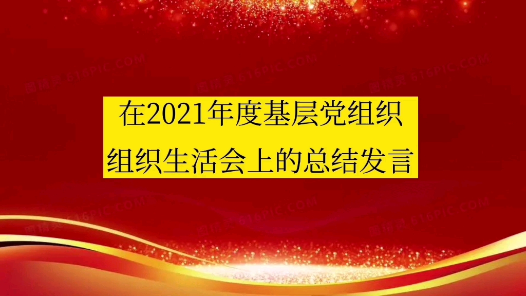 在政协机关2021年度基层党组织组织生活会上的总结发言哔哩哔哩bilibili