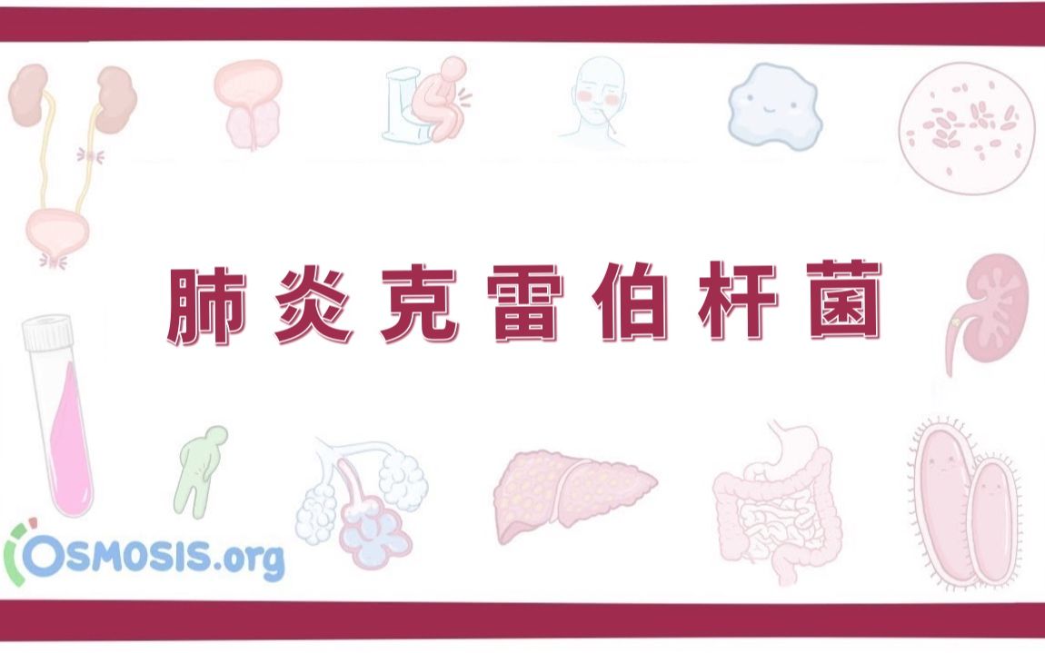 【预习】肺炎克雷伯杆菌 Klebsiella Pneumoniae(中英字幕)哔哩哔哩bilibili