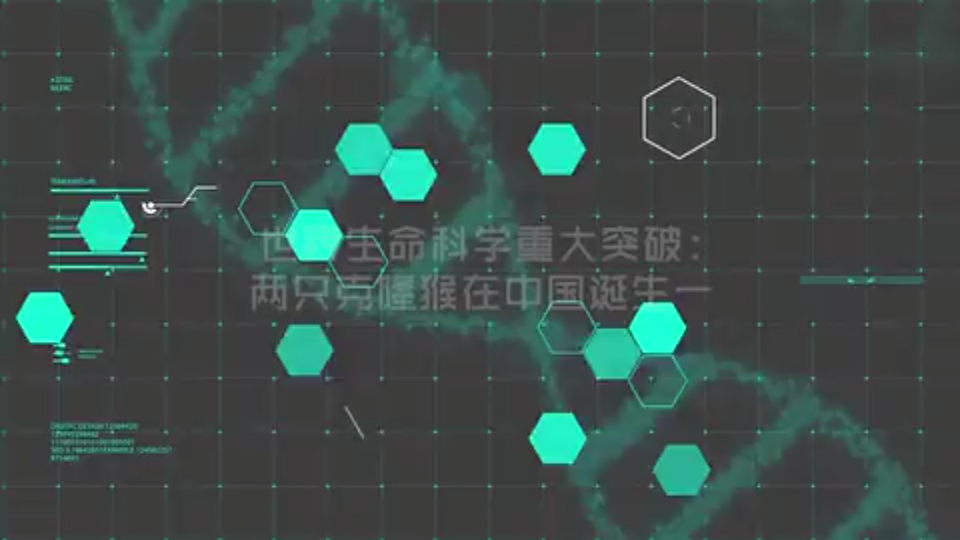 动物体细胞核移植导入1哔哩哔哩bilibili