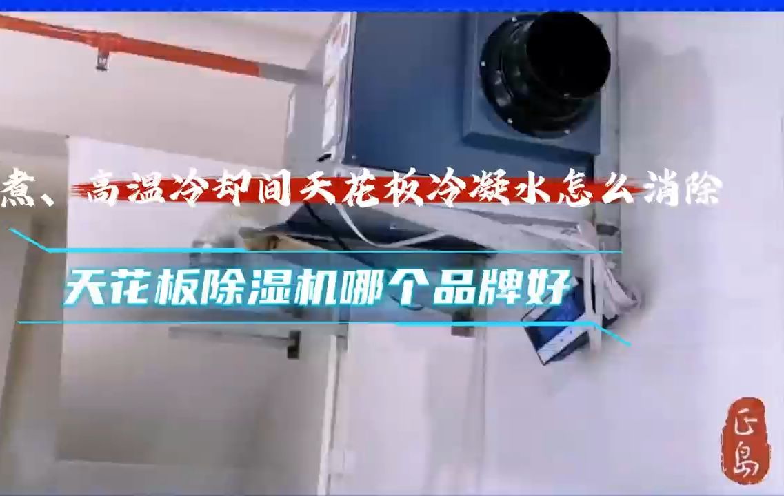 蒸煮、高温冷却间天花板冷凝水怎么消除?天花板除湿机哪个品牌好哔哩哔哩bilibili
