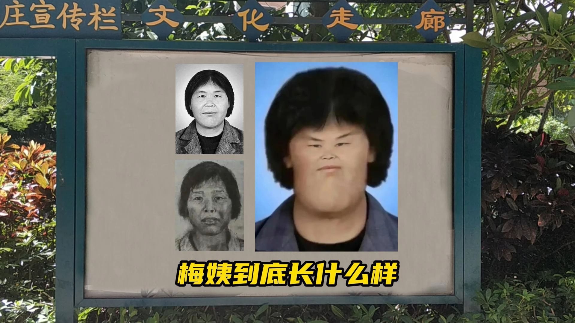 人贩子梅姨还没被抓,真实长相没人知道,甚至画像都是模拟的