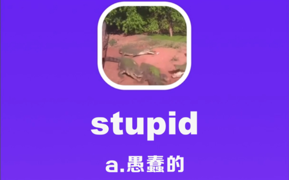 [图]stupid：愚蠢的